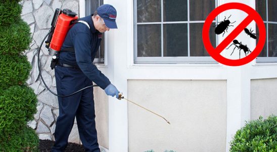 Çatak Böcek İlaçlama böcek ilaçlama ve haşere kontrolü — ilaclama-tr.com